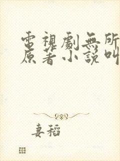 电视剧无所畏惧原著小说叫什么