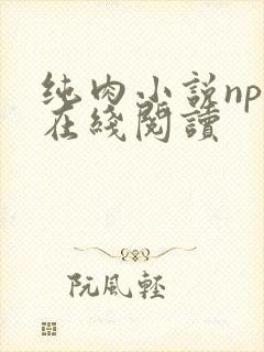纯肉小说np文在线阅读