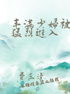 丰满少妇被粗大猛烈进入