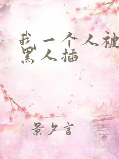 我一个人被几个黑人插