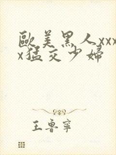 欧美黑人xxxx猛交少妇