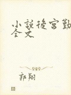 小说后宫勤妃传全文