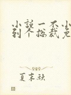 小说一不小心捡到个总裁免费阅读