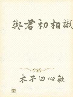 与君初相识续写