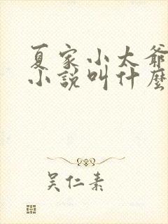 夏家小太爷原著小说叫什么名字