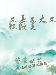 又长又大又黑又粗欧美