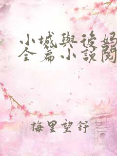 小城与后妈免费全篇小说阅读