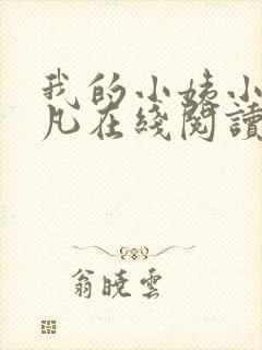 我的小姨小说叶凡在线阅读全文