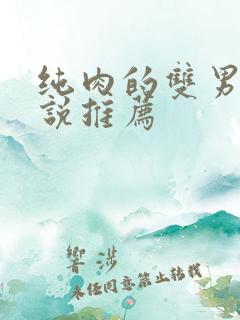 纯肉的双男主小说推荐