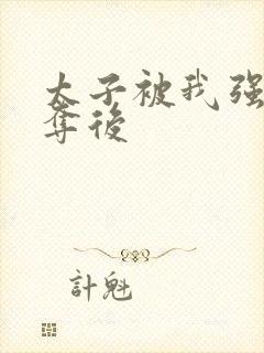 太子被我强取豪夺后