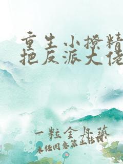 重生小撩精,我把反派大佬宠娇了