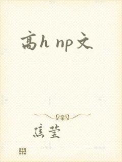 高h np文