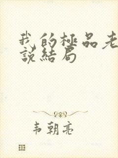 我的极品老婆小说结局