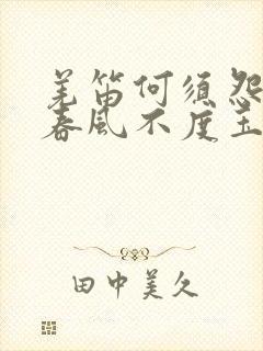 羌笛何须怨杨柳春风不度玉门关地理意义