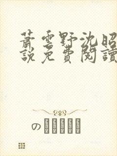 萧云野沈昭宁小说免费阅读最新章节