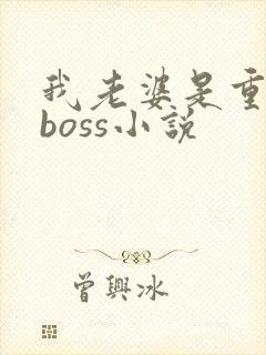 我老婆是重生大boss小说