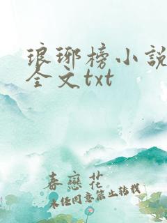 琅琊榜小说原著全文txt