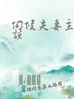 伺候夫妻主的小说