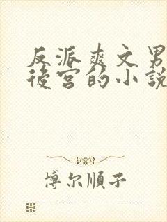 反派爽文男主开后宫的小说