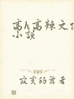 高h高辣文伦理小说