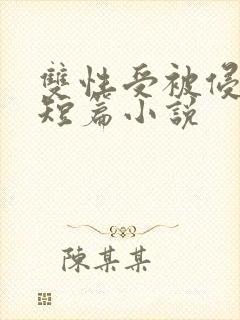 双性受被侵犯的短篇小说