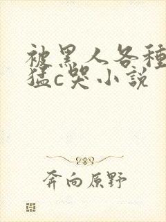 被黑人各种姿势猛c哭小说