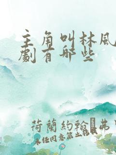 主角叫林风的短剧有哪些