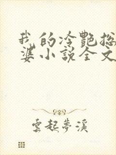 我的冷艳总裁老婆小说全文阅读