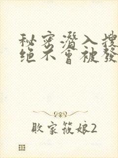 秘密潜入搜查官绝不会被发现