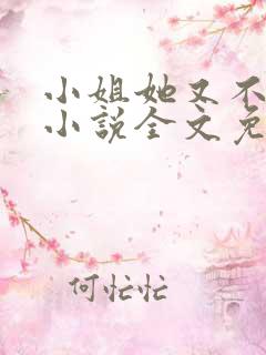 小姐她又不见了小说全文免费阅读