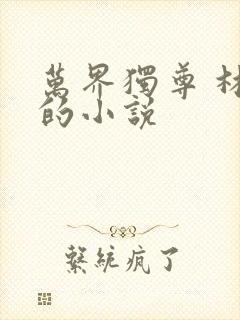 万界独尊 林枫的小说