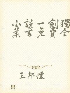 小说一剑独尊·叶玄免费全文阅读一