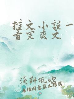 推文小说一口气看完爽文