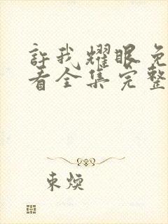 许我耀眼免费观看全集完整版高清