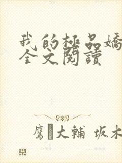 我的极品娇妻 全文阅读