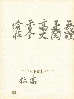 偷香高手无删减版全文阅读