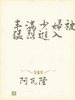 丰满少妇被粗大猛烈进入