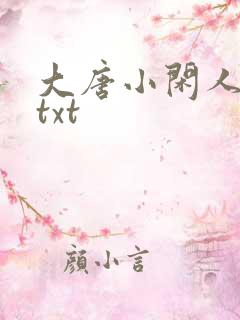 大唐小闲人全本txt