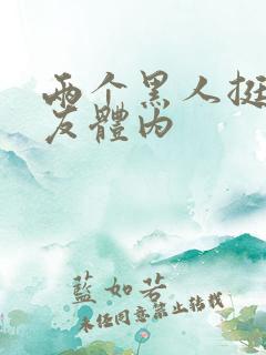 两个黑人挺进女友体内