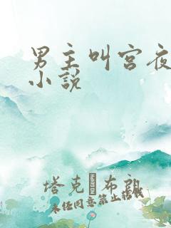 男主叫宫夜寒的小说