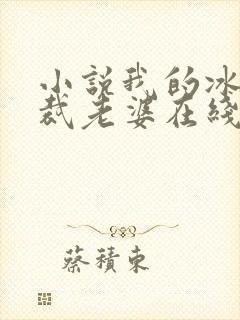 小说我的冰山总裁老婆在线阅读