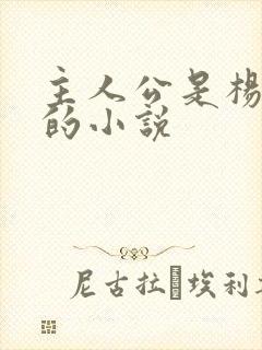 主人公是杨小天的小说