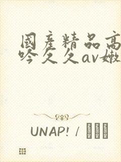 国产精品高潮呻吟久久av嫩