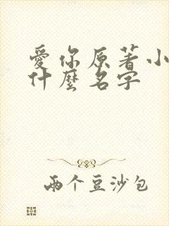 爱你原著小说叫什么名字