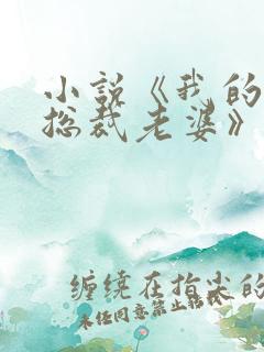 小说《我的冰山总裁老婆》