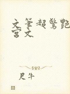 文笔超惊艳的后宫文