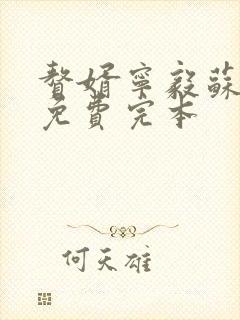 赘婿宁毅苏檀儿免费完本