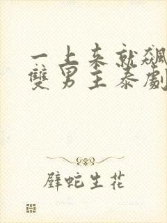 一上来就飙车的双男主泰剧