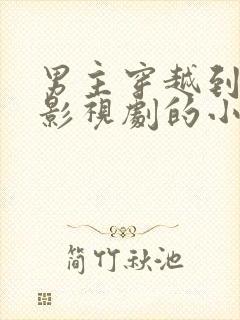 男主穿越到各种影视剧的小说