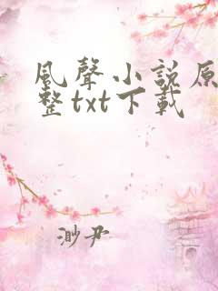风声小说原著完整txt下载